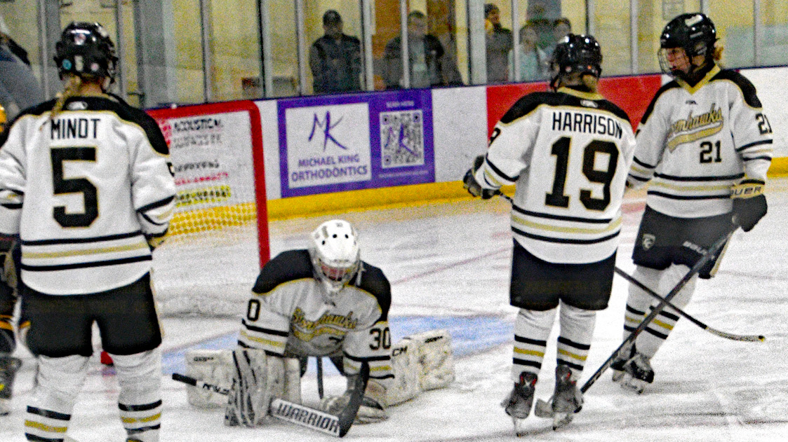StormHawks Hockey, Chaska Girls Start Off New Year