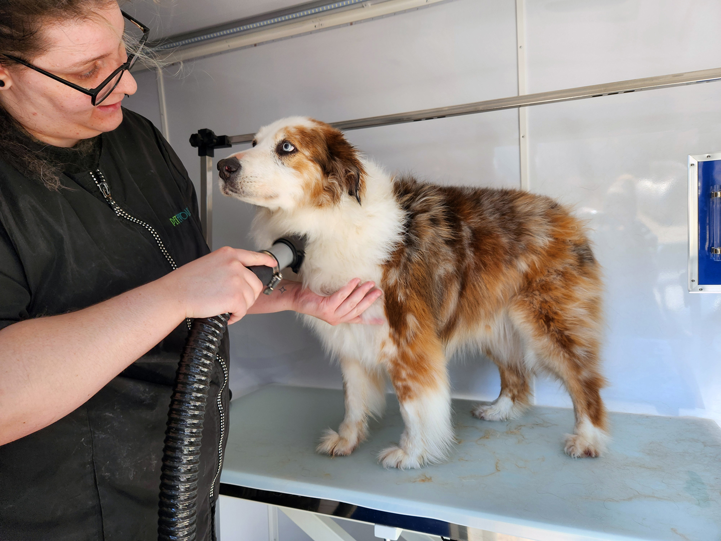 Zoomin Groomin Brings Mobile Pet Spa to Carver County