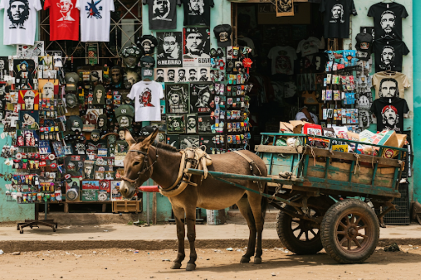 Wanderlust and Well-Being: Cuba
