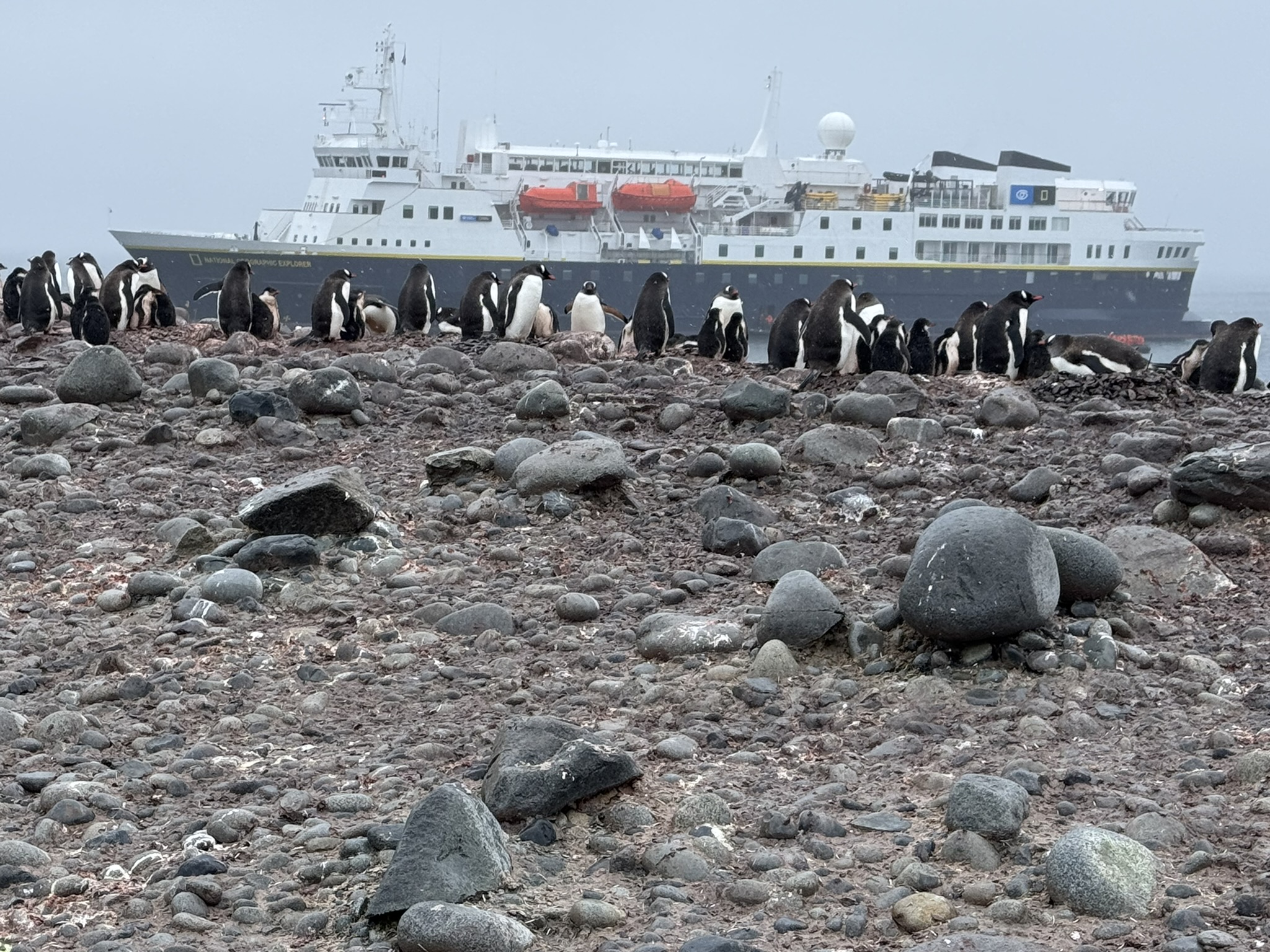 Wanderlust and Well-Being: Iconic Places – Antarctica