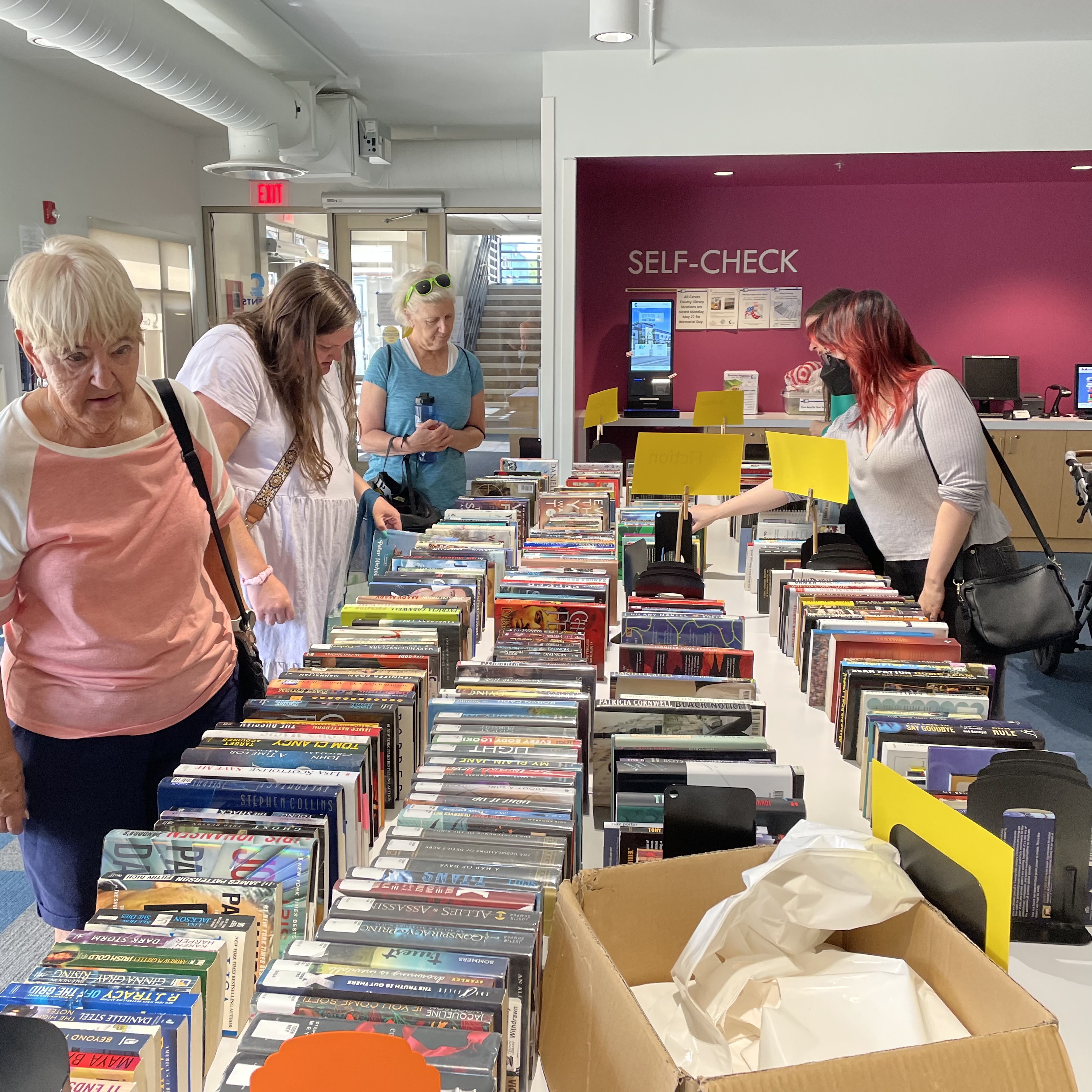 Library book sale – Allison Larson – Carver County Local News