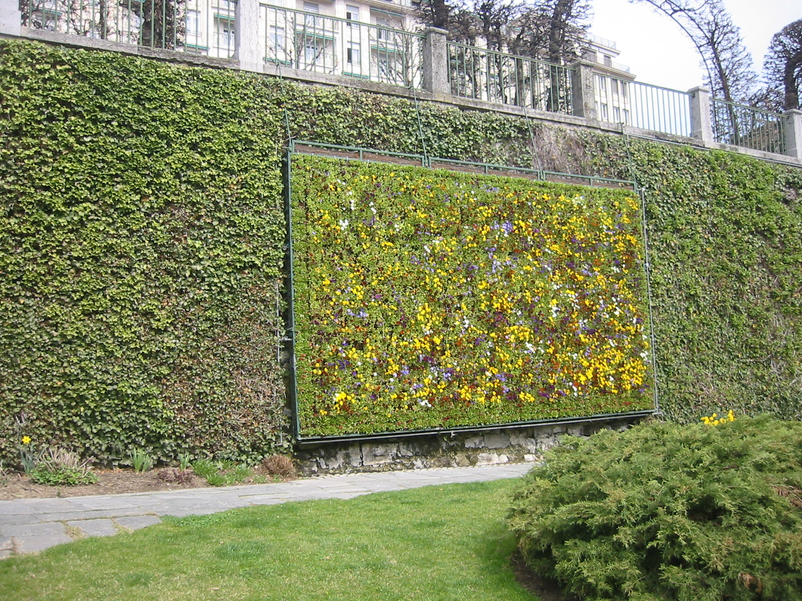 ‘Living Art’ in Your Own Backyard